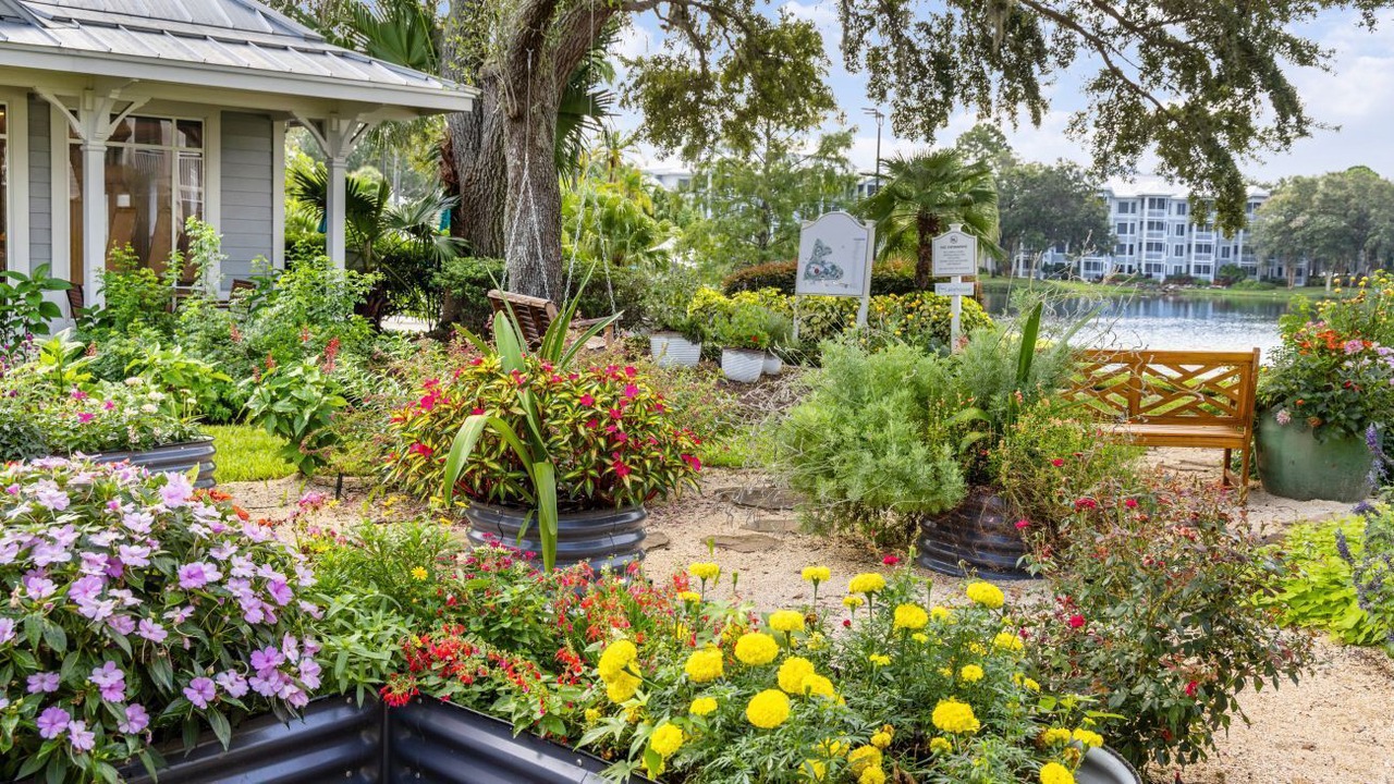 Photo of Outdoor in Florida Central Atlantic Coast