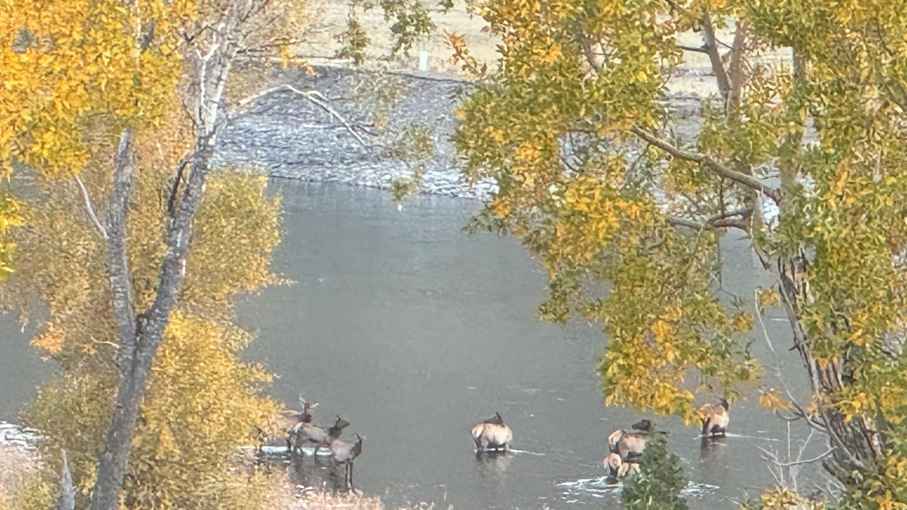 Photo of Others in Gardiner