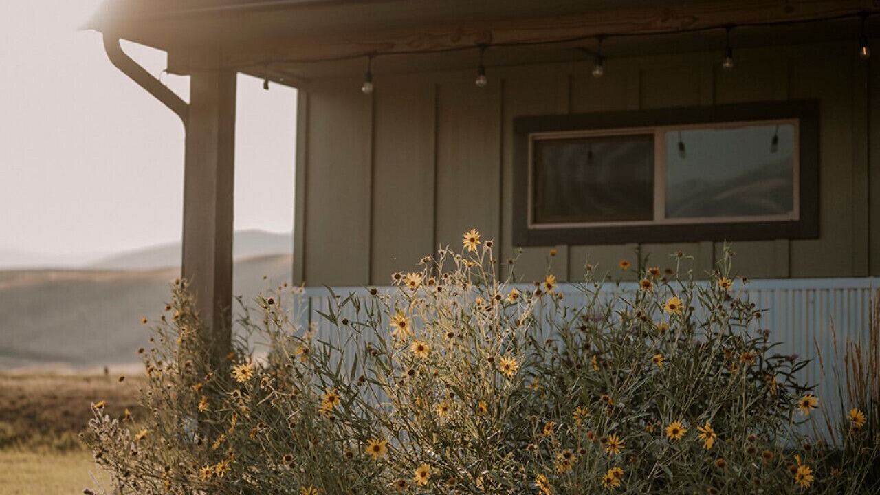 Photo of Outdoor in Emigrant