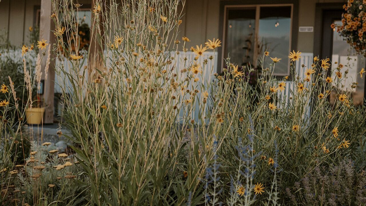 Photo of Outdoor in Emigrant