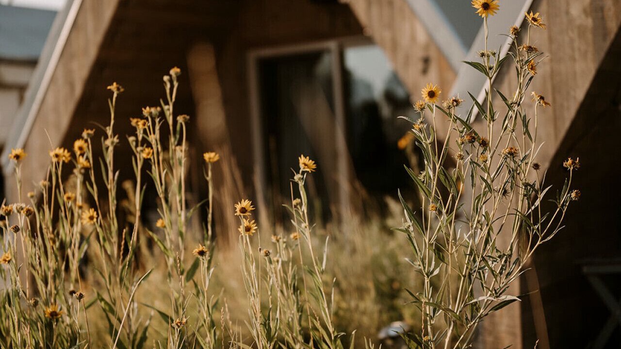 Photo of Outdoor in Emigrant