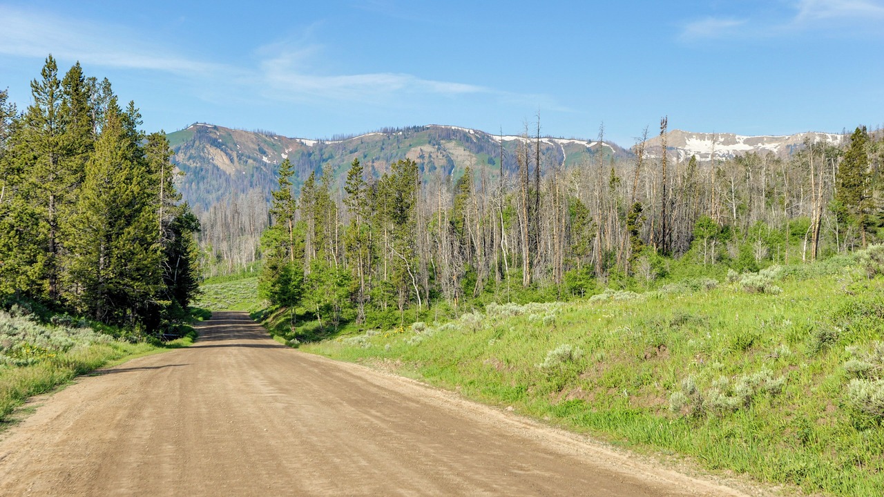 Photo of Others in Sublette County