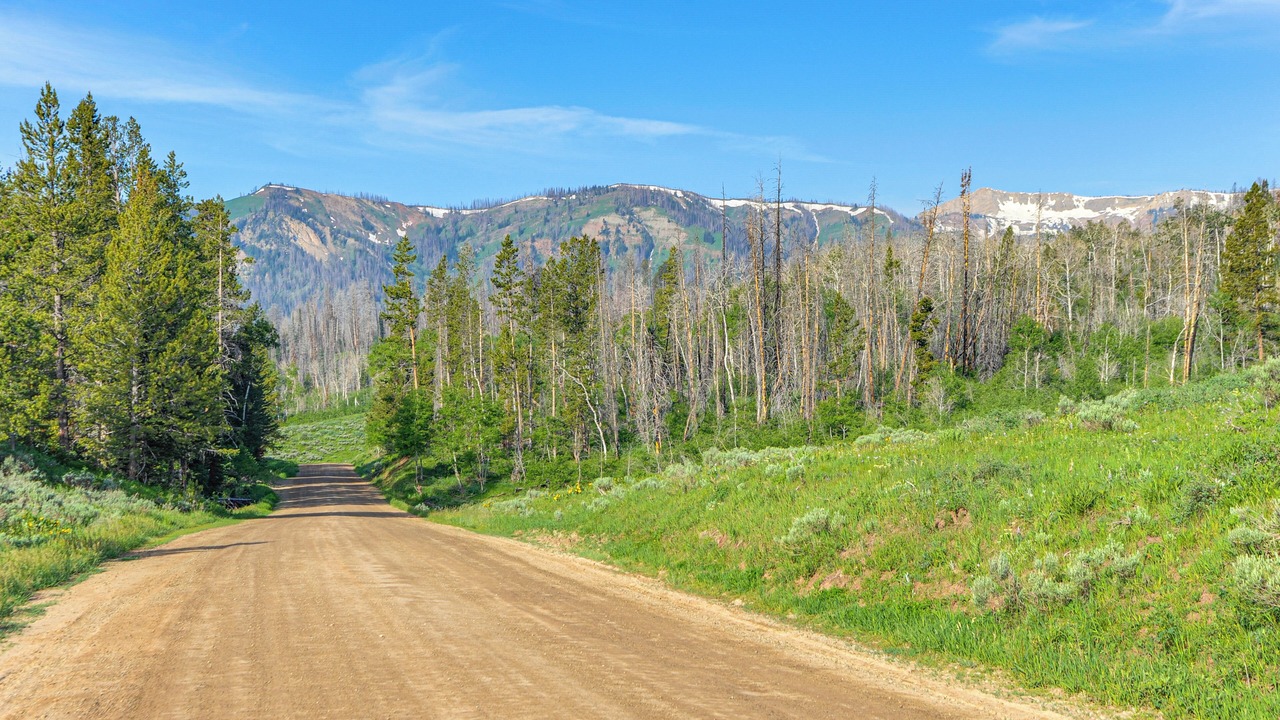 Photo of Others in Sublette County