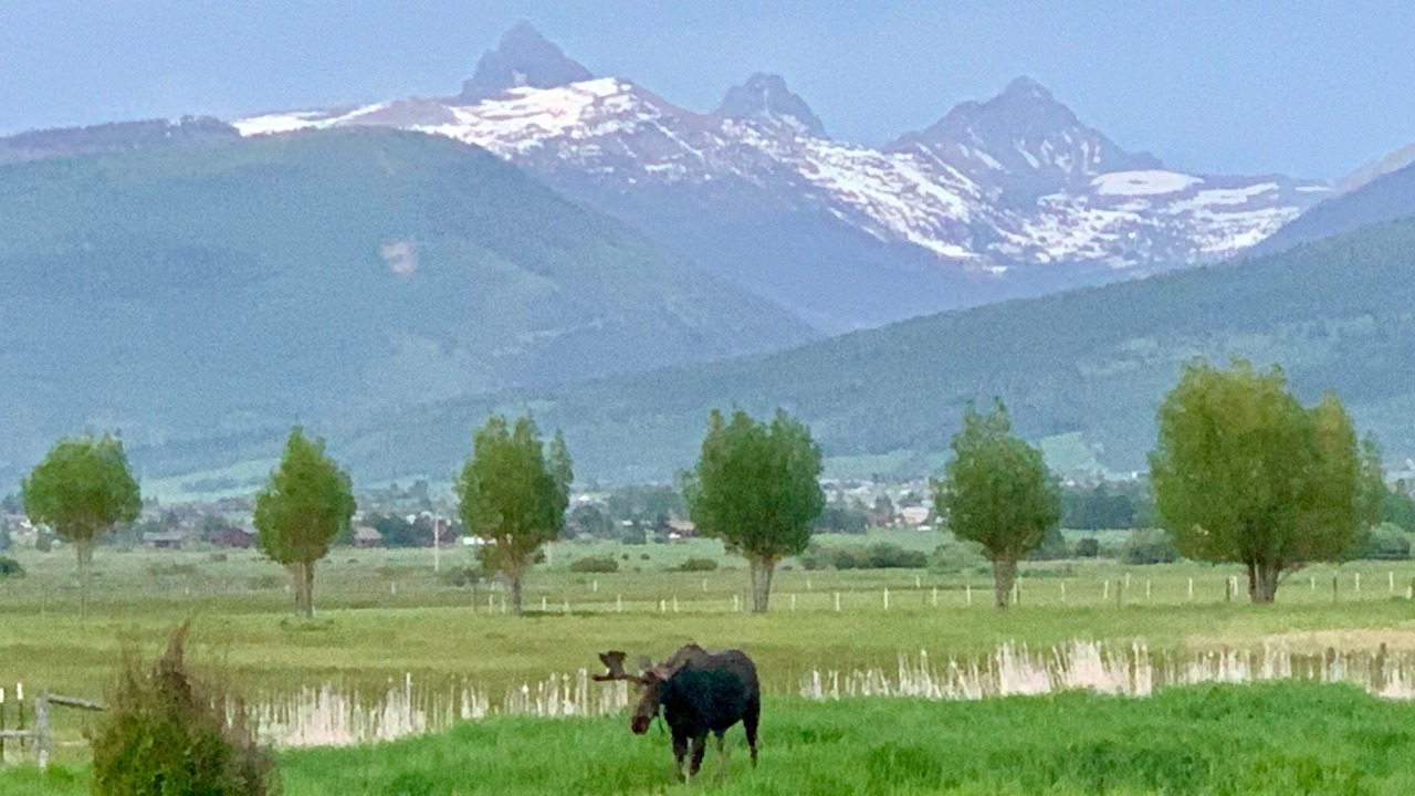 Photo of Others in Victor