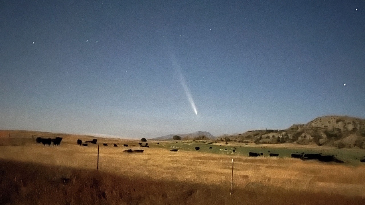Photo of Others in Big Timber