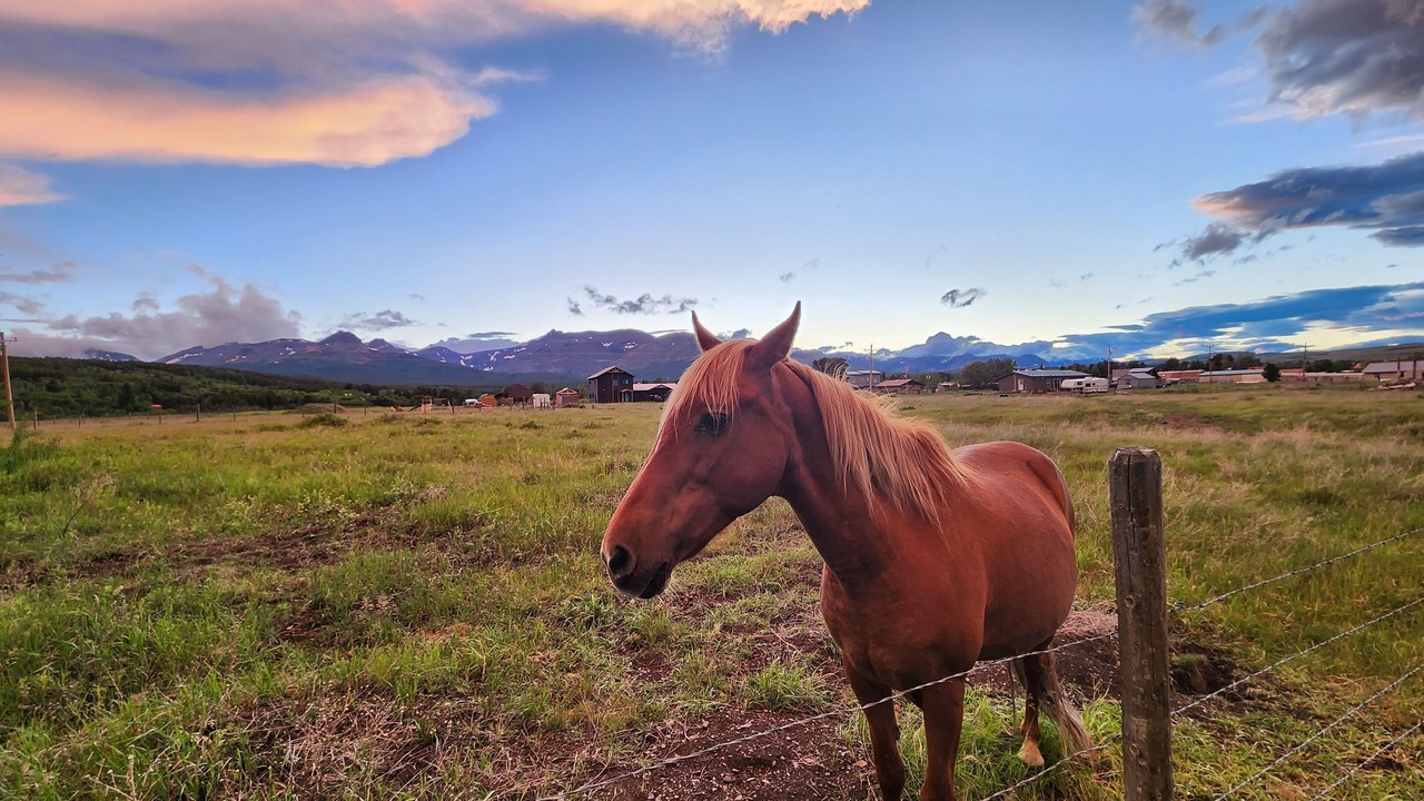 Photo of Others in East Glacier Park Village