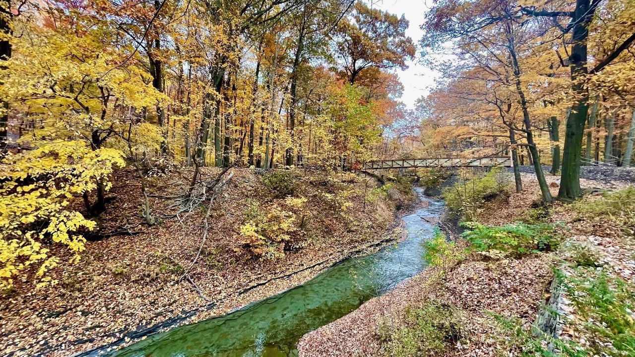 Photo of Outdoor in Richmond Heights
