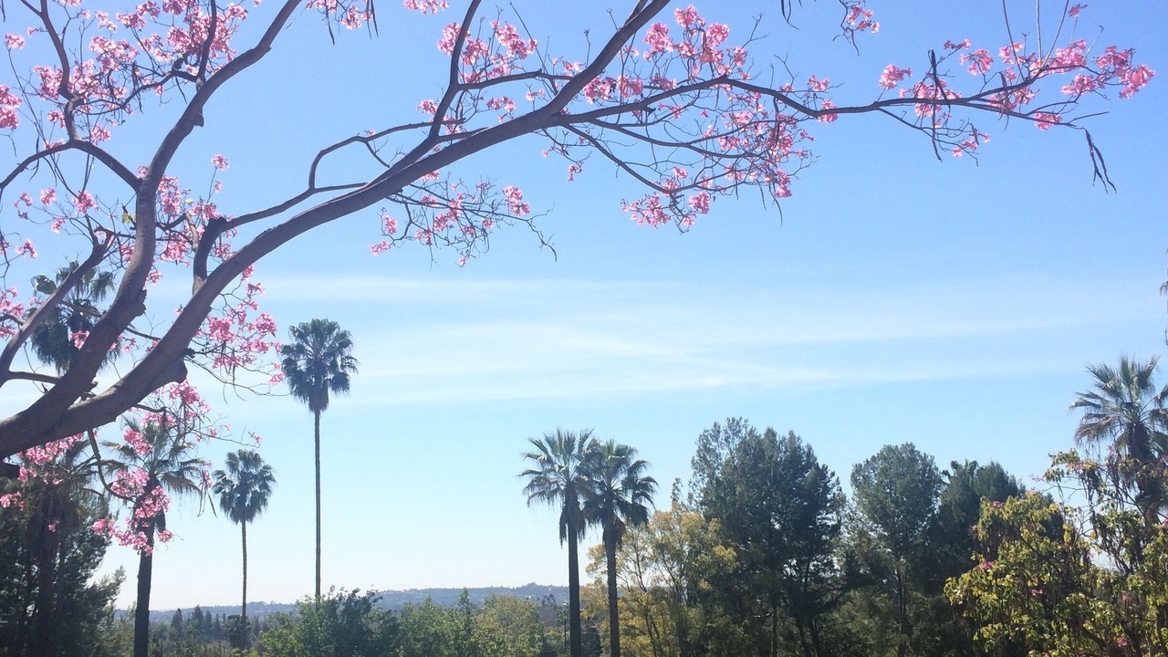 Photo of Others in Pasadena