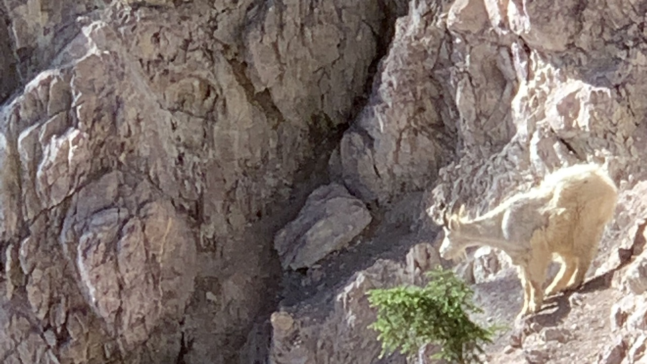 Photo of Others in Pinnacle