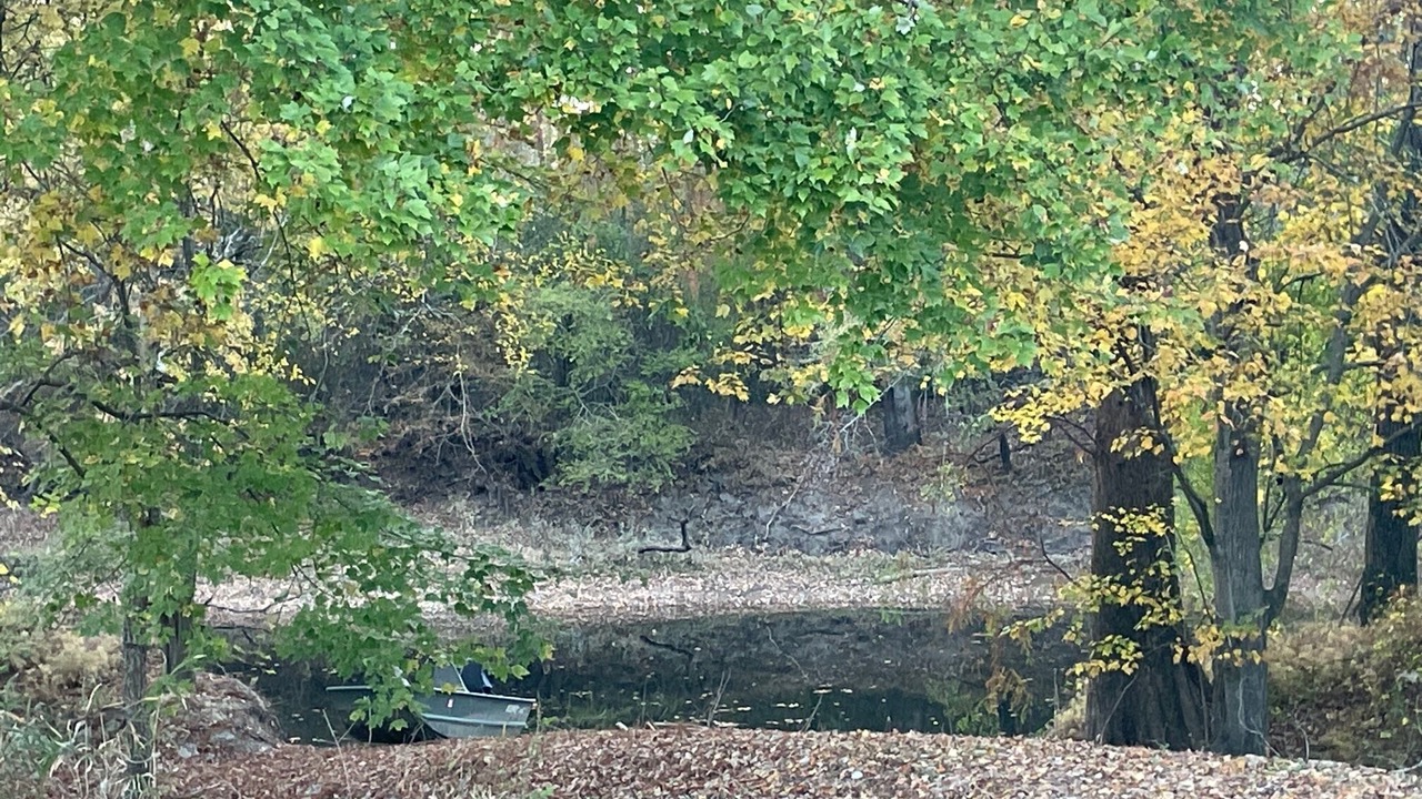 Photo of Outdoor in Deep Run