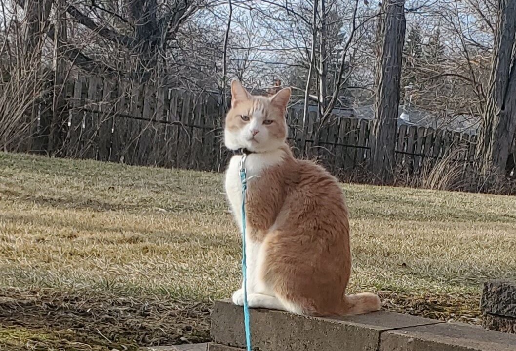Photo of Outdoor in Brunswick