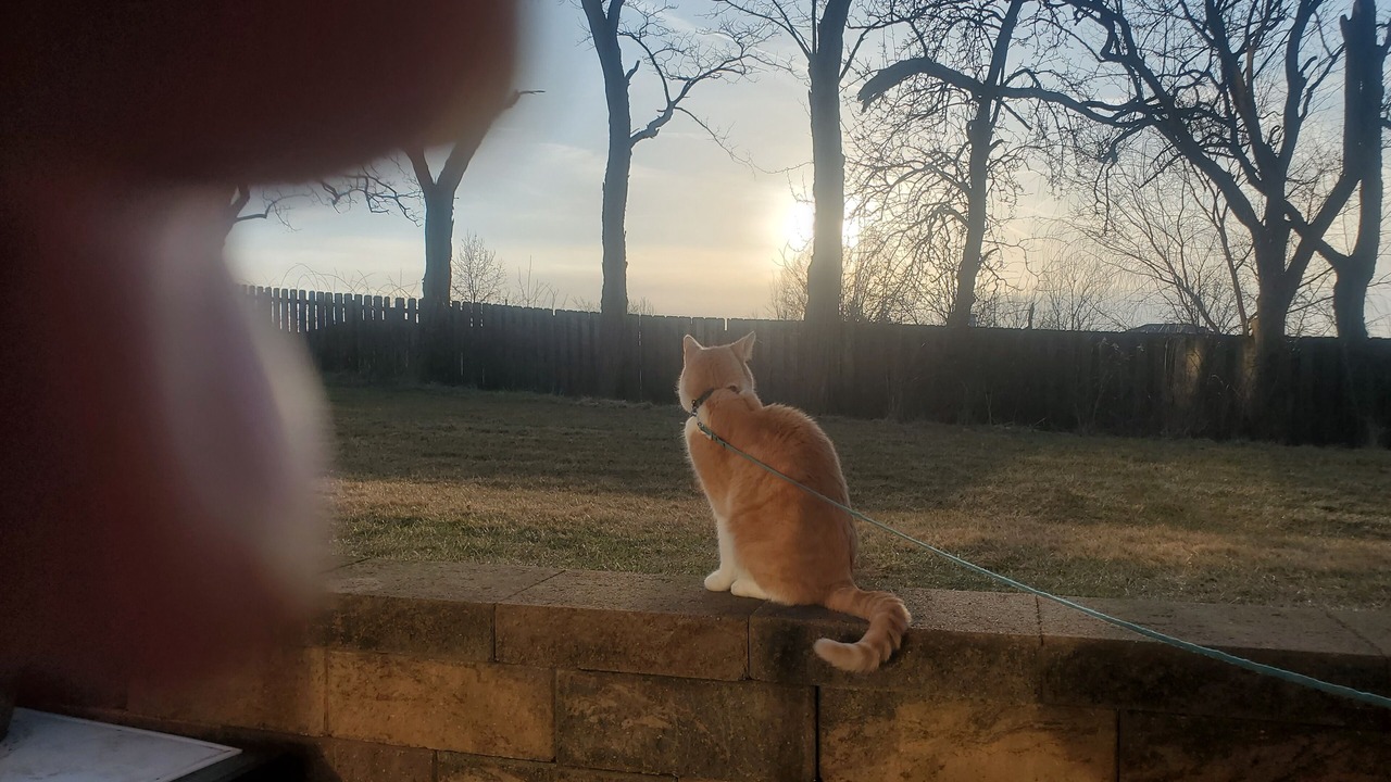 Photo of Outdoor in Brunswick