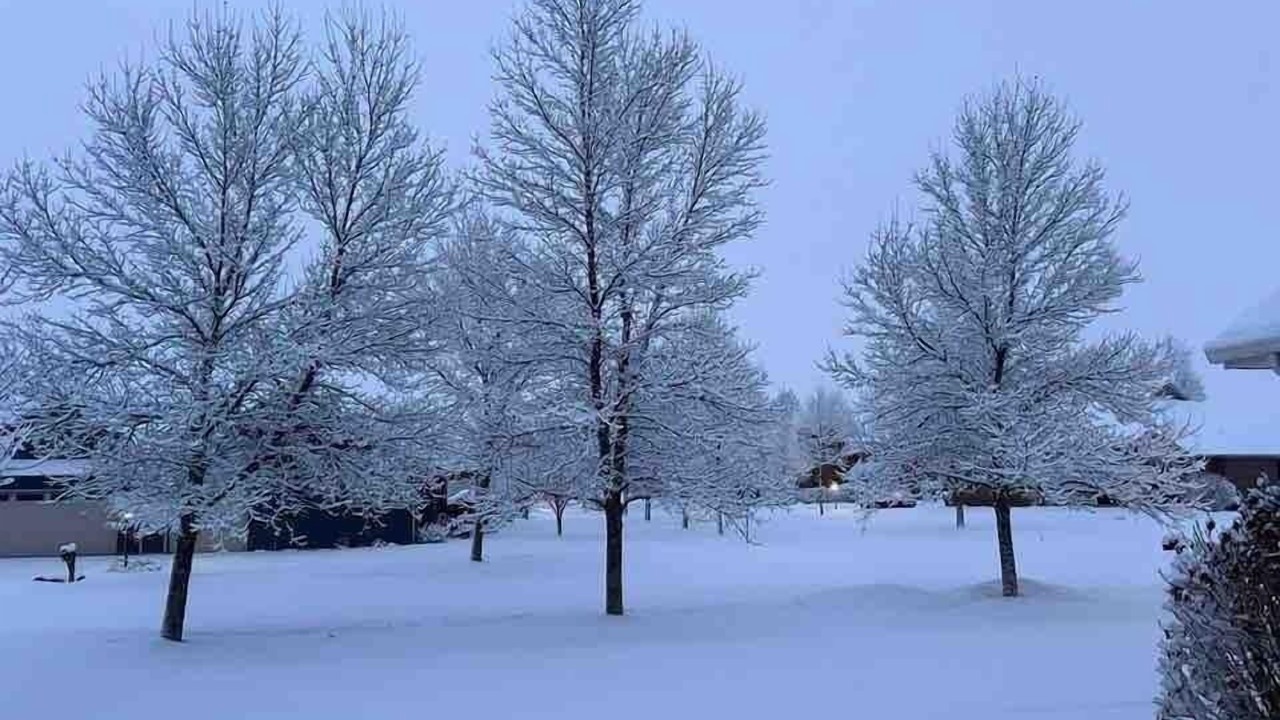 Photo of Others in Bozeman