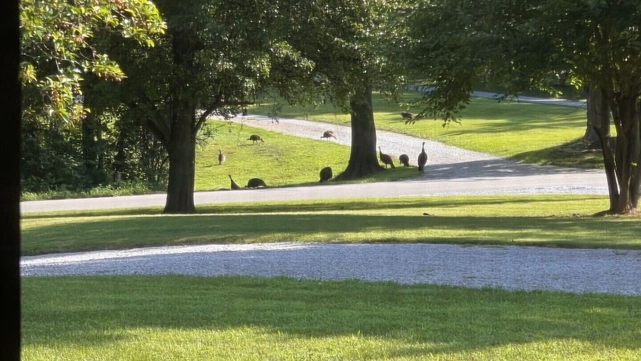 Photo of Outdoor in Newburgh