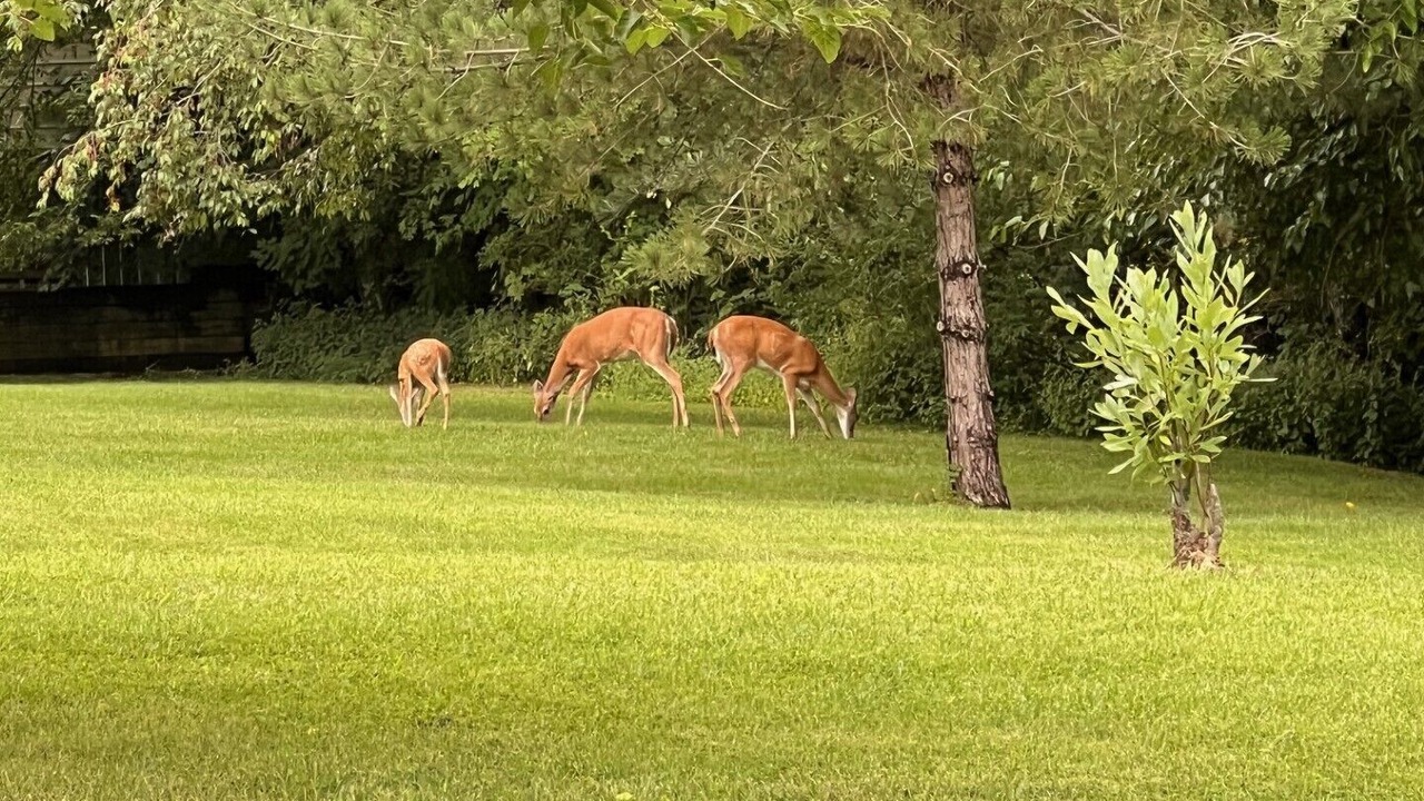 Photo of Outdoor in Newburgh