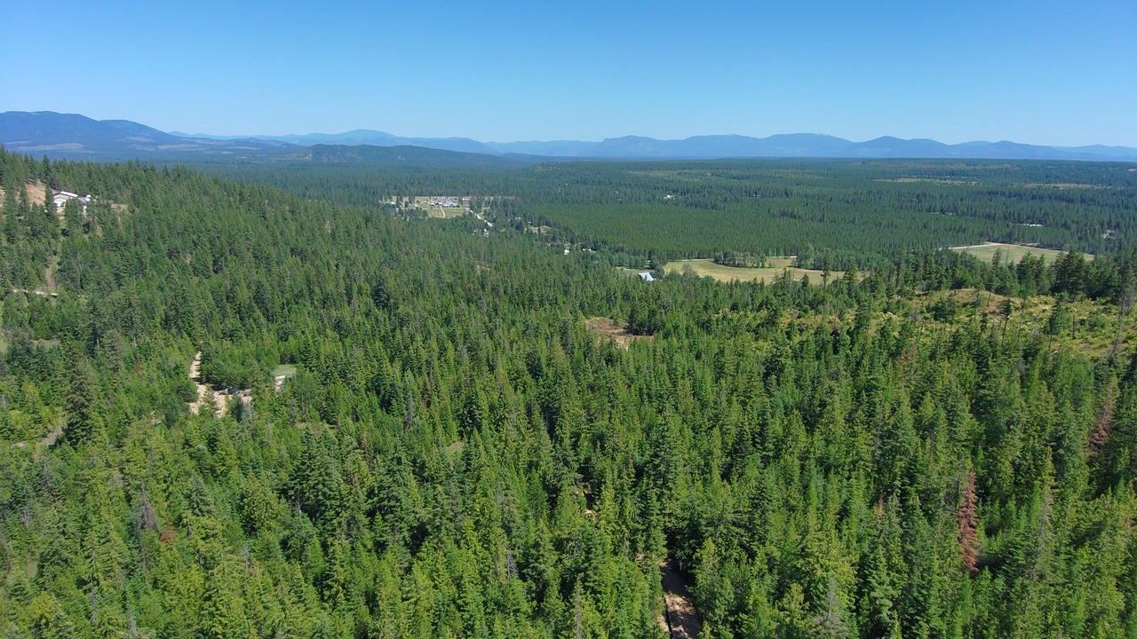 Photo of Outdoor in Blanchard