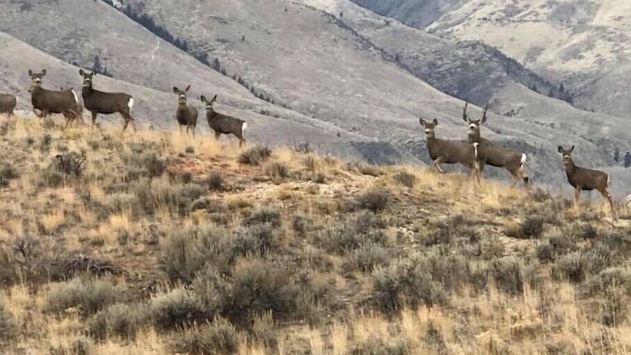 Photo of Outdoor in Salmon
