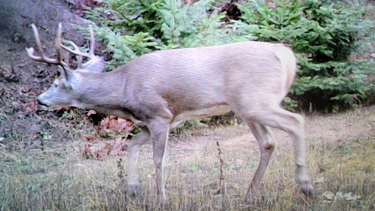 Photo of Others in Coeur d'Alene