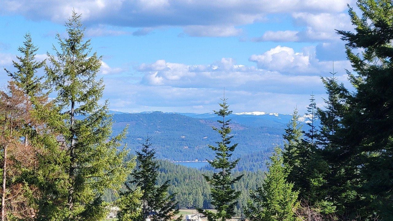 Photo of Others in Coeur d'Alene