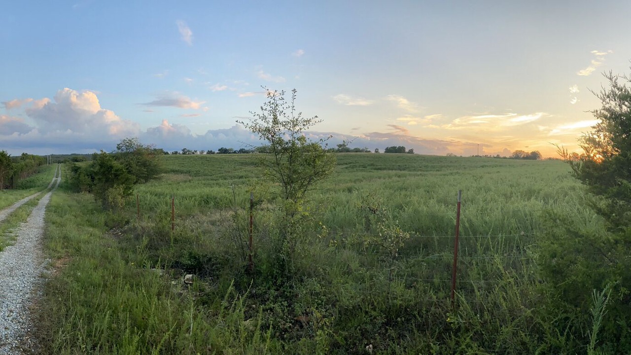 Photo of Outdoor in Yellville