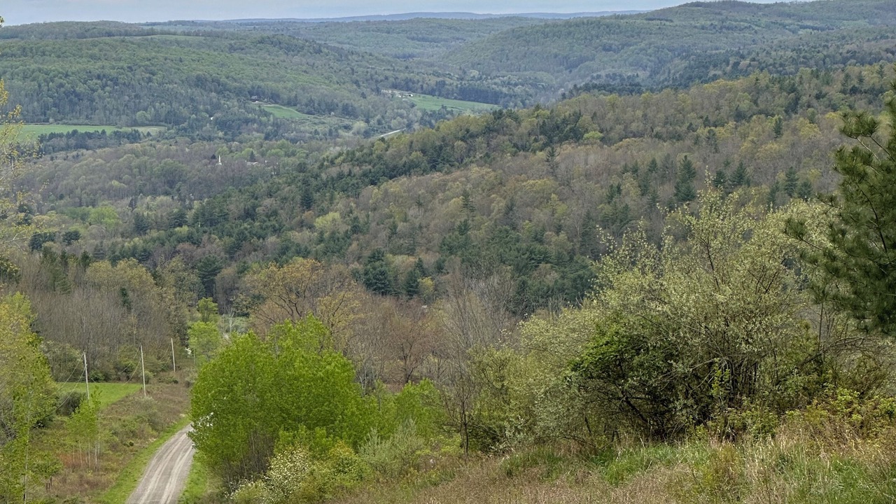 Photo of Others in Cowanesque
