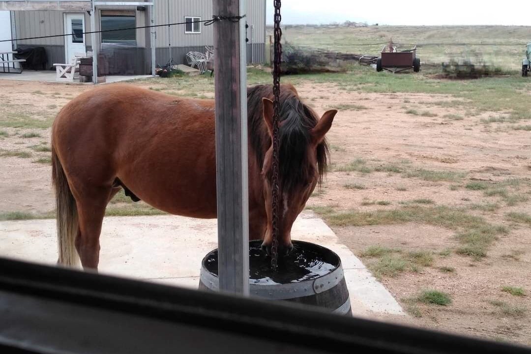 Photo of Others in Laramie
