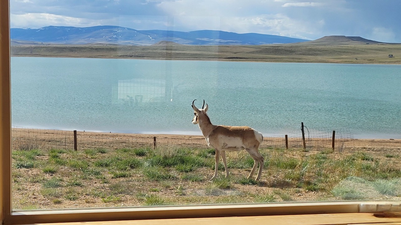 Photo of Others in Laramie