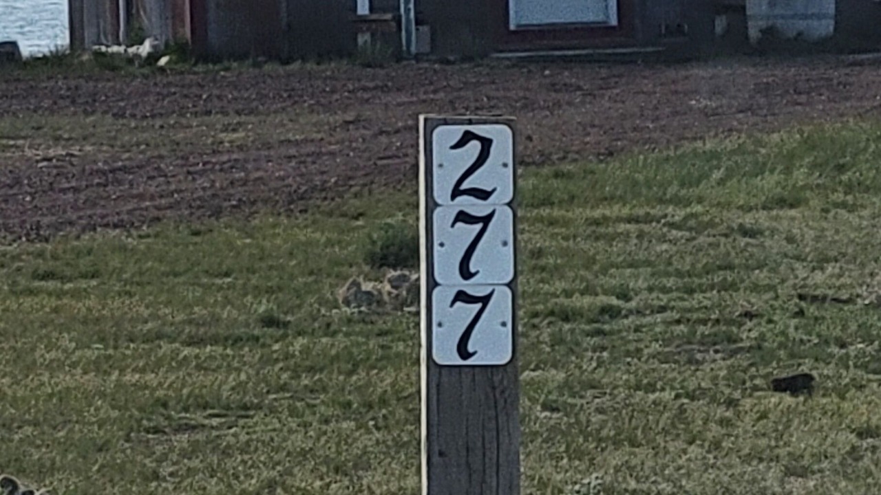 Photo of Outdoor in Laramie