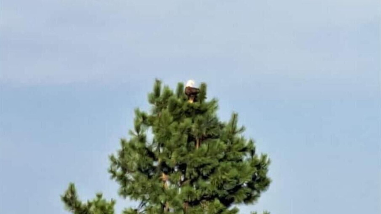 Photo of Others in Newport