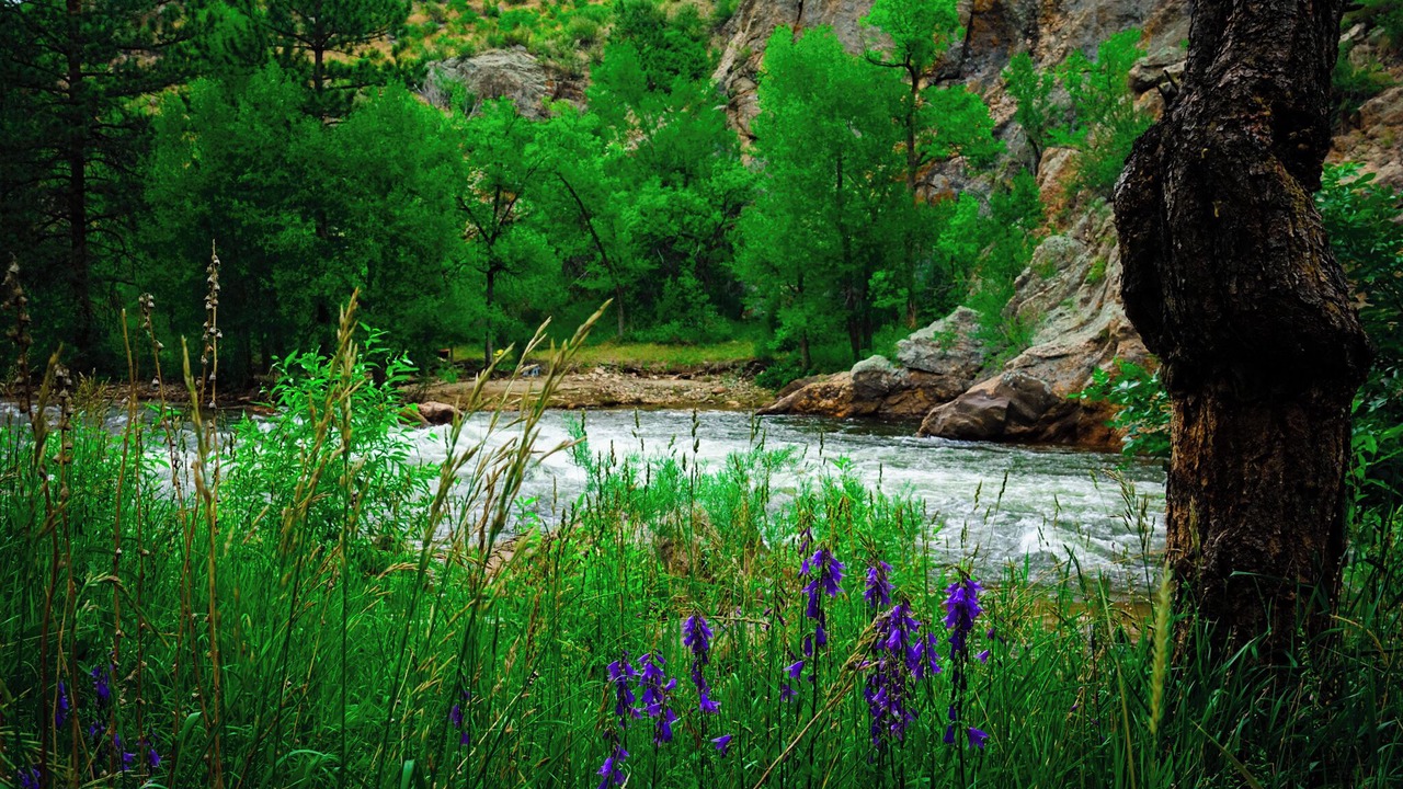 Photo of Outdoor in Poudre Park