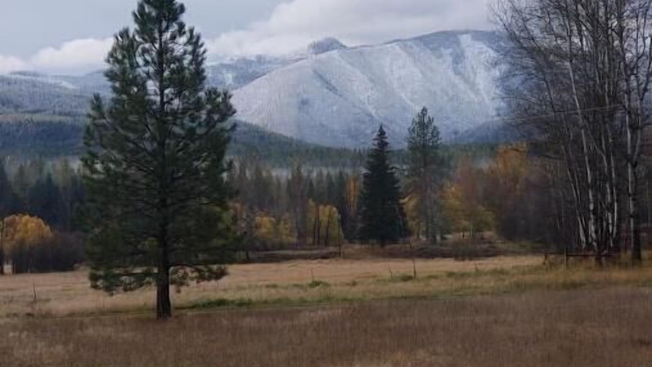 Photo of Outdoor in Martin City