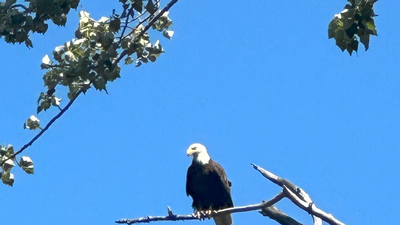 Photo of Others in Libby