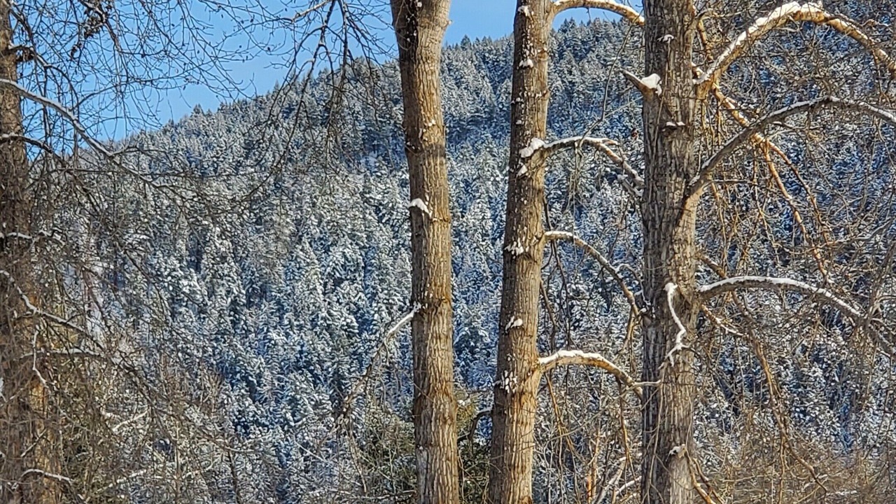 Photo of Others in Libby