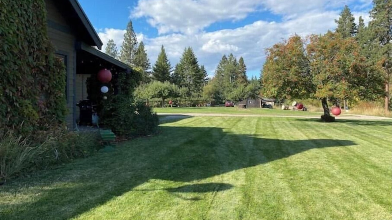 Photo of Outdoor in Woods Bay