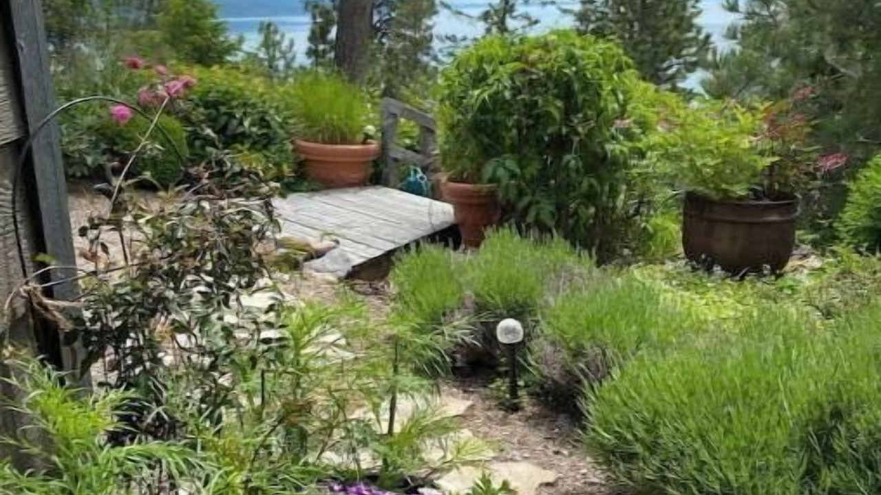Photo of Outdoor in Woods Bay