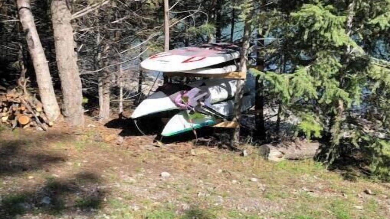 Photo of Others in Woods Bay