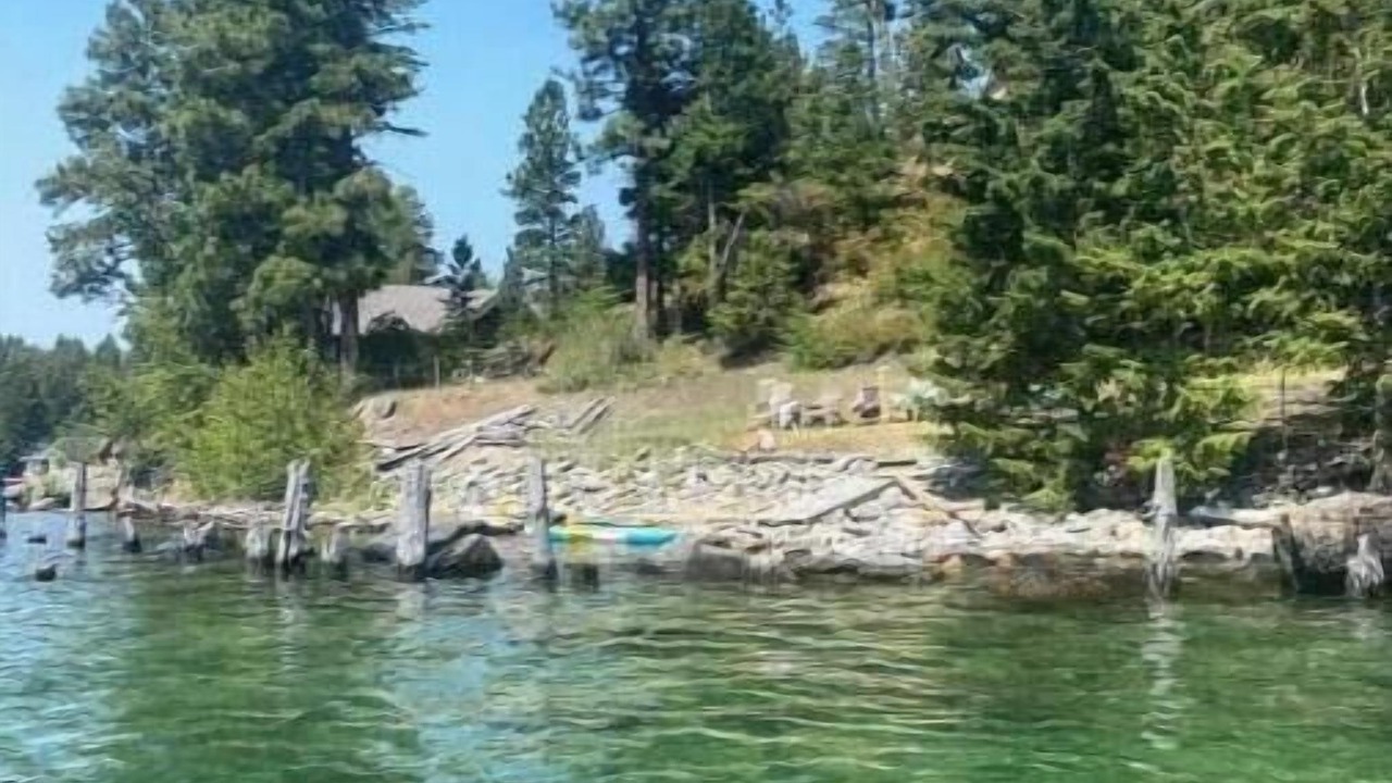 Photo of Outdoor in Woods Bay