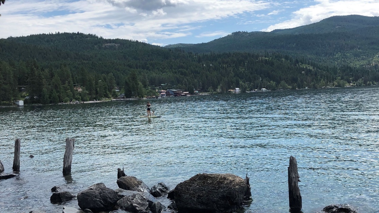 Photo of Others in Woods Bay