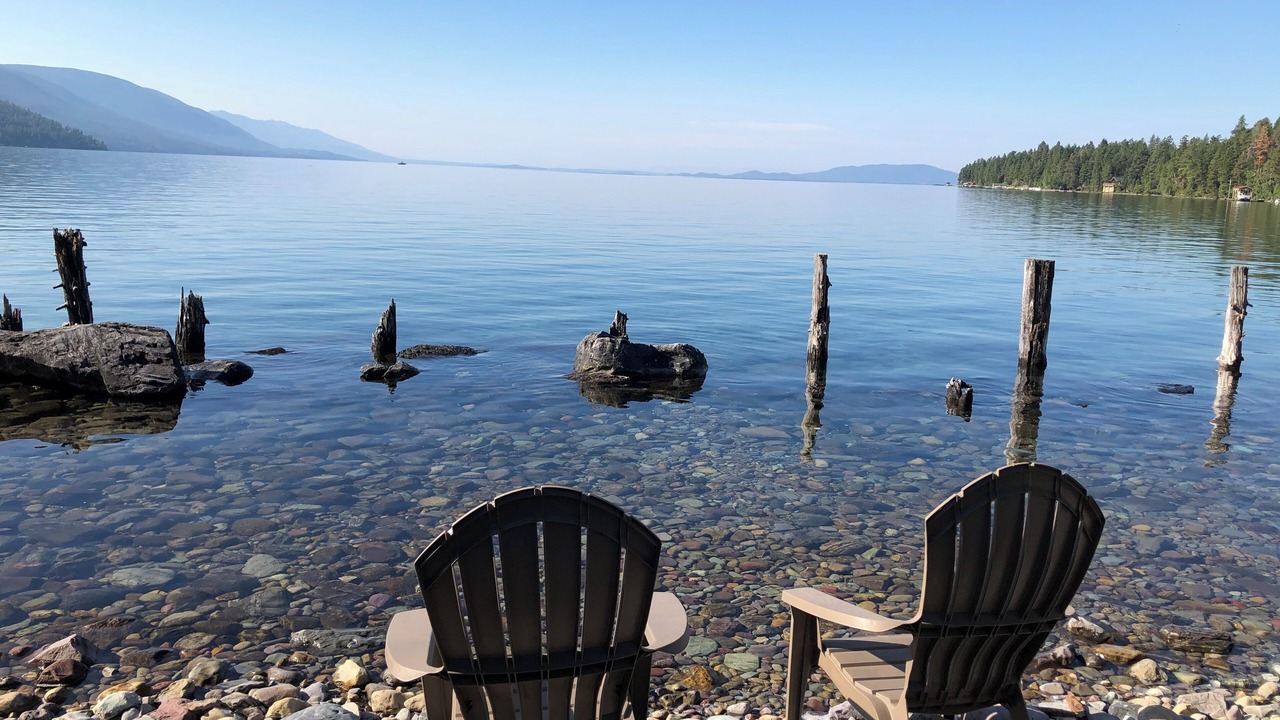 Photo of Others in Woods Bay