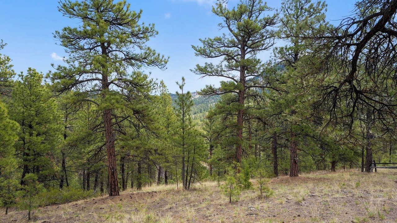 Photo of Others in Cascade