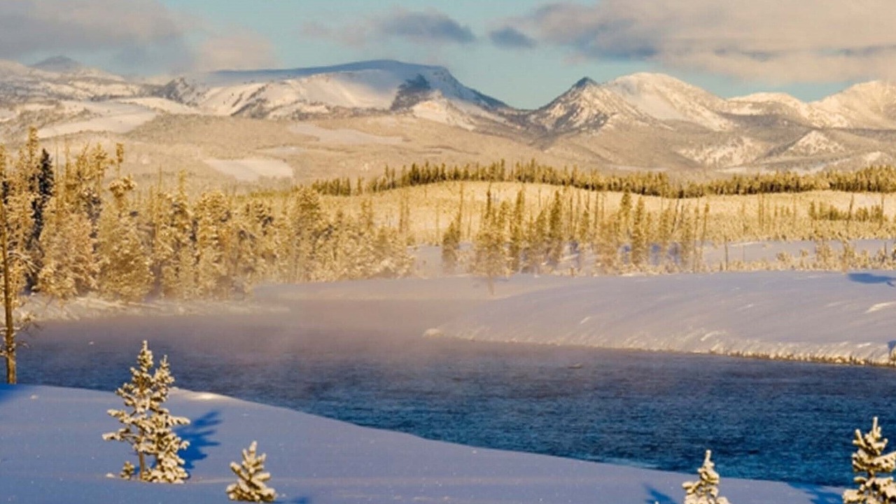 Photo of Others in West Yellowstone