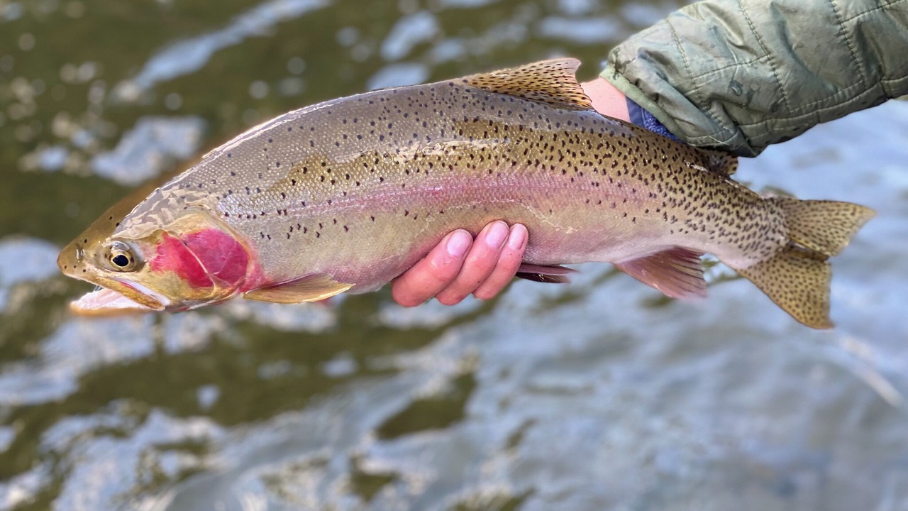 Photo of Others in Cascade
