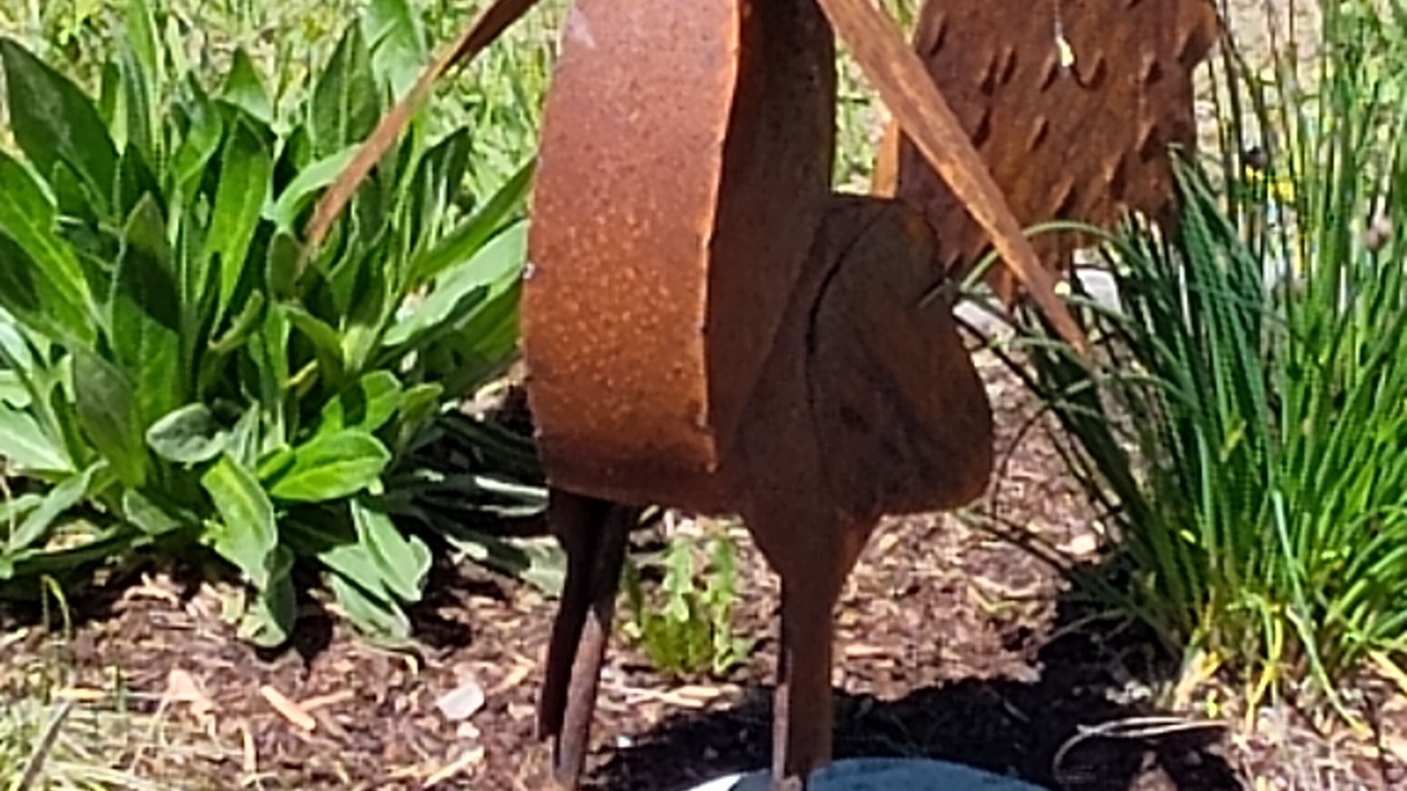 Photo of Outdoor in Eureka
