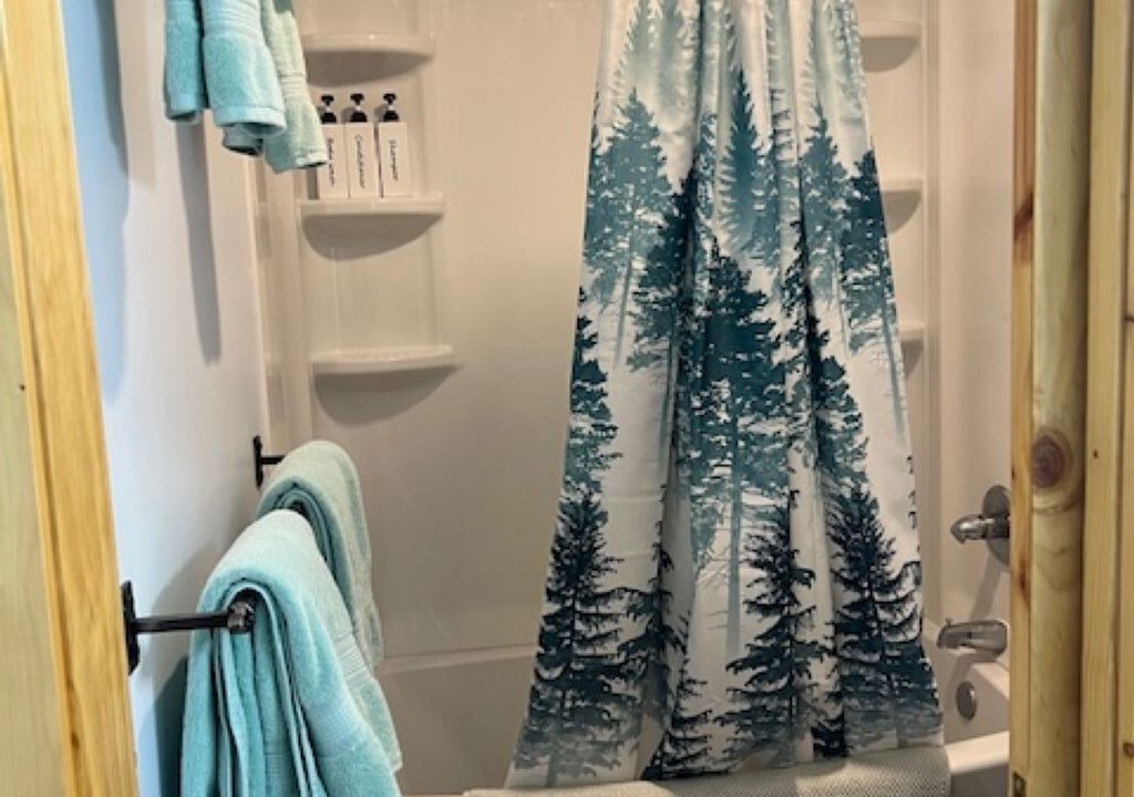 Photo of Bathroom in Powell