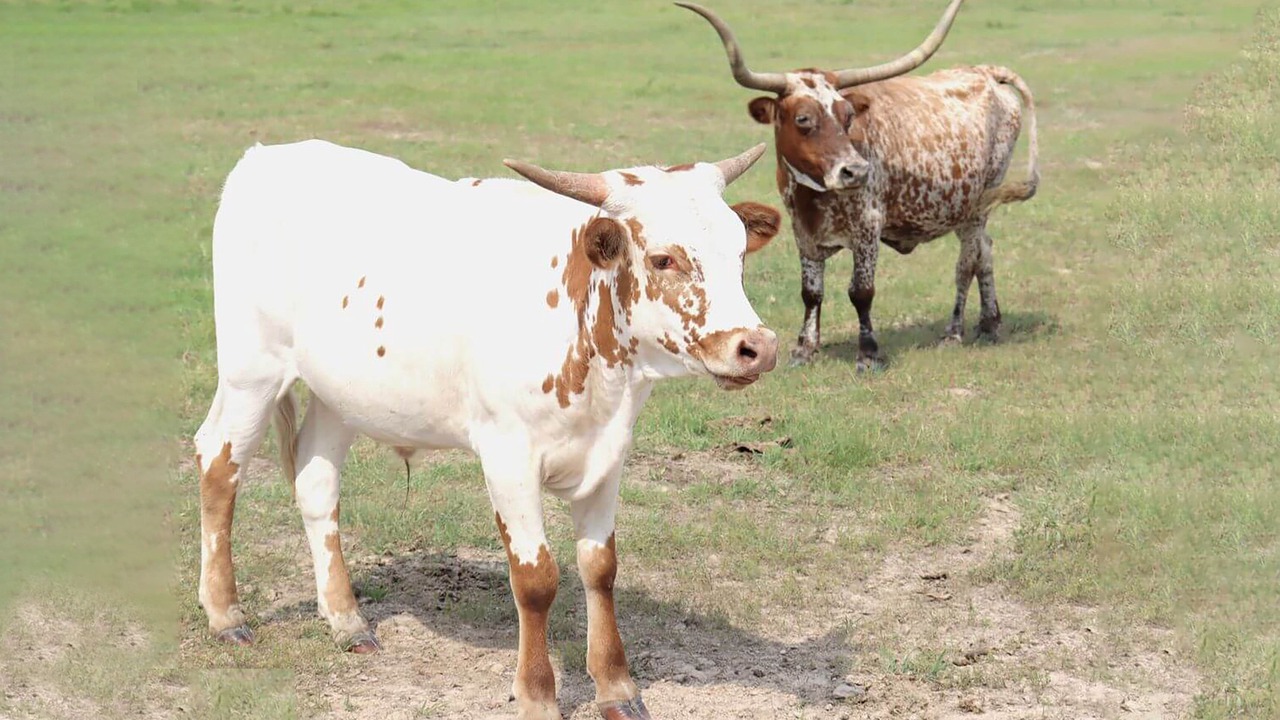 Photo of Others in Brookshire