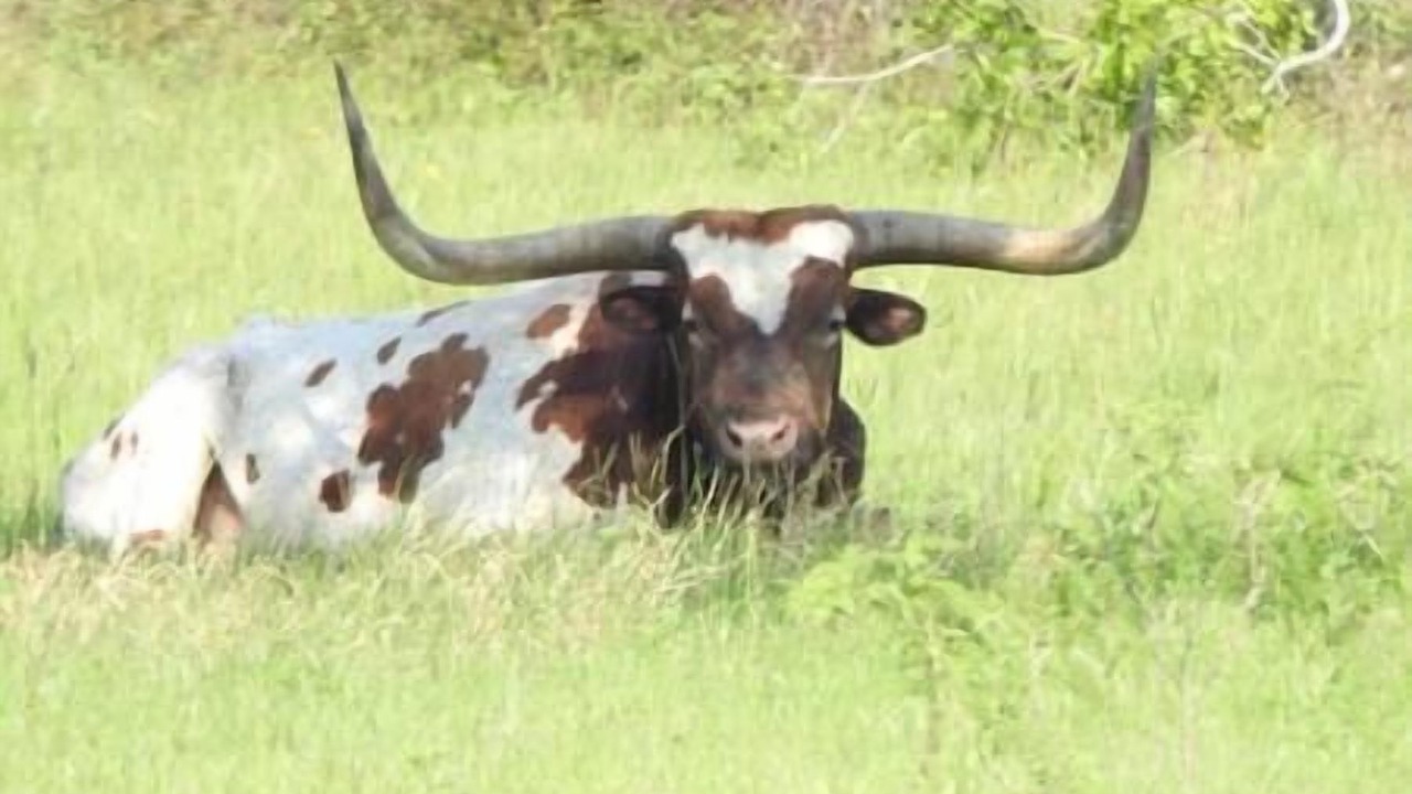 Photo of Others in Brookshire
