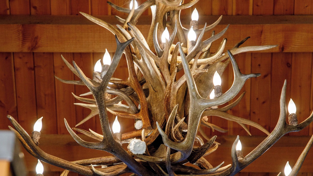 Photo of Others in Teton Village