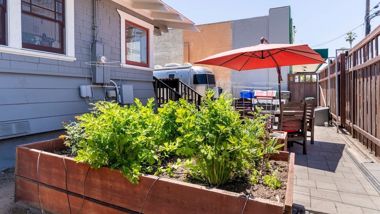 Photo of Outdoor in South Park