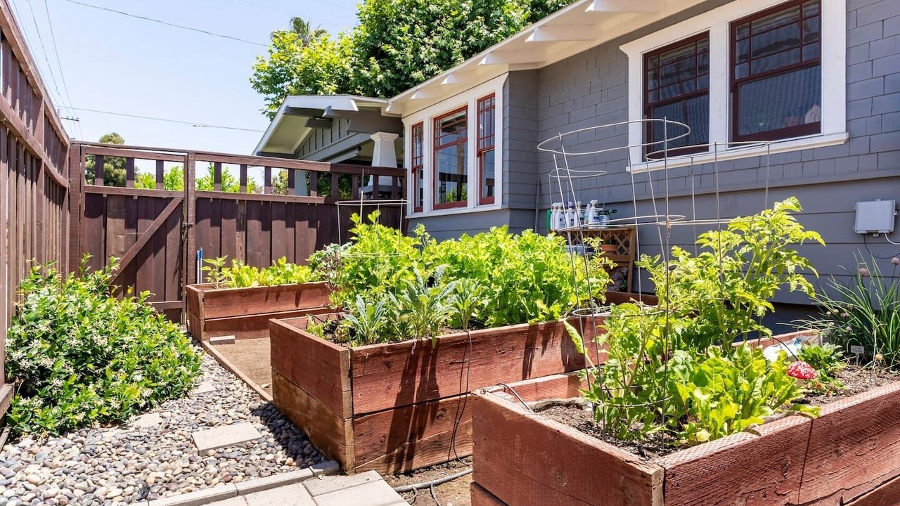 Photo of Outdoor in South Park