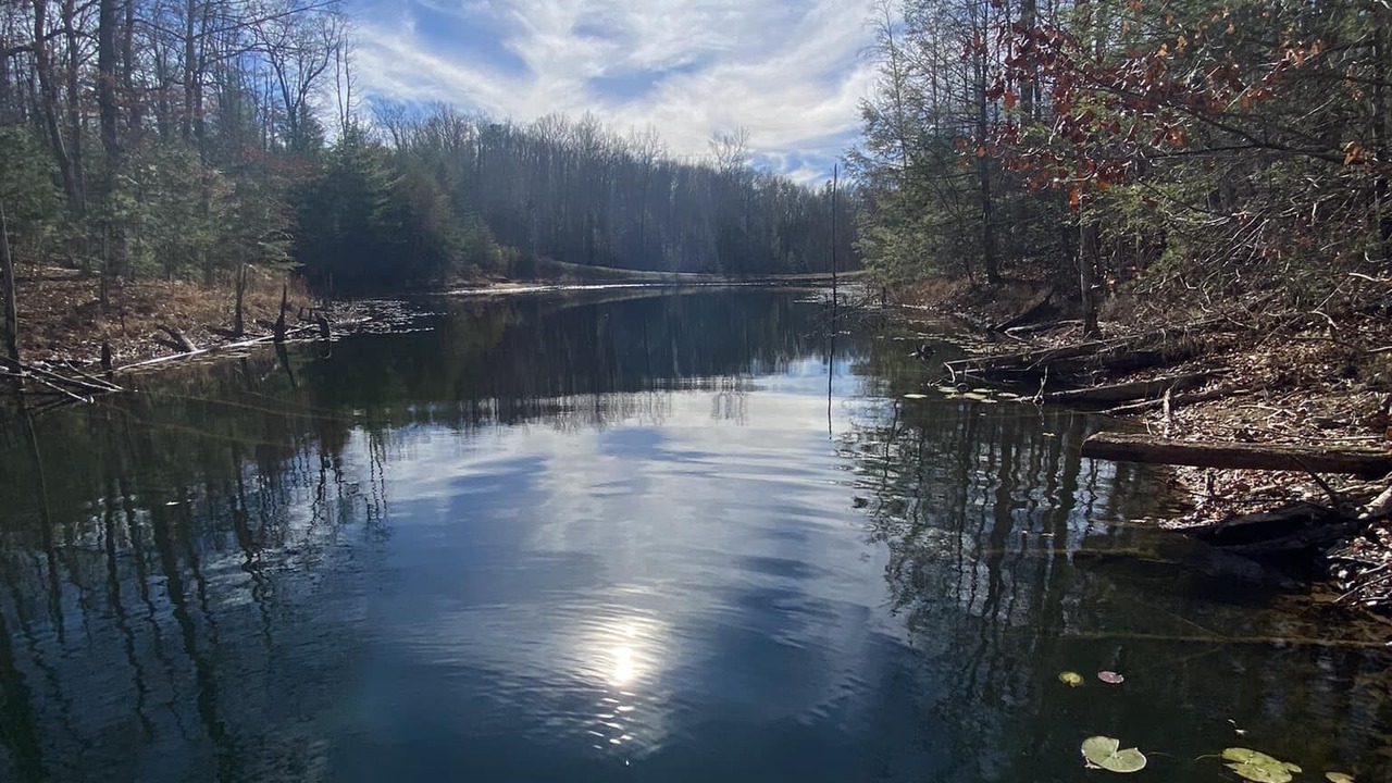 Photo of Outdoor in Primrose